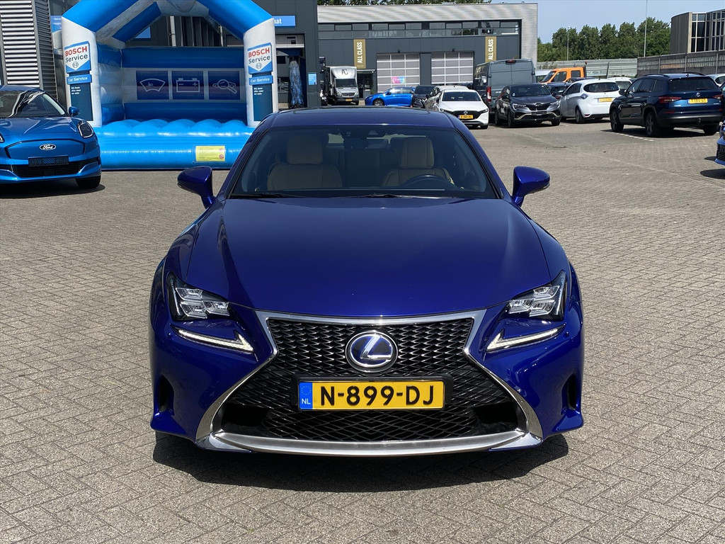 53073211-1.jpg
